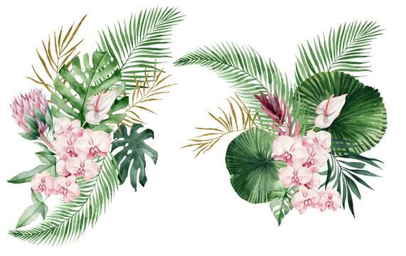 watercolor illustration of tropical leaves, branche, fern and pink flowers.  Botanical watercolor illustrations, floral elements, roses, protea, orchid and calla lilies