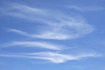 Wispy clouds on a summer blue sky. Cirrus clouds range in thickness from 100 m (330 ft) to 8,000 m (26,000 ft), with an average thickness of 1,500 m (4,900 ft)