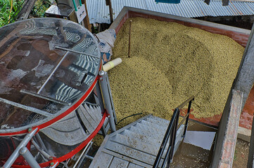 caf&eacute; pos cosecha