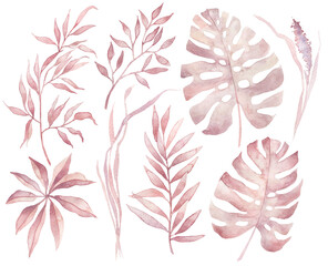 set of watercolor illustrations, pink tropical monstera and banana leaves for wedding invitation card.