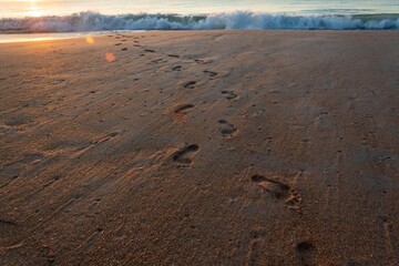 footprints in the sand on the beach