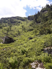Rocky mountain slope overgrown with different greenery 