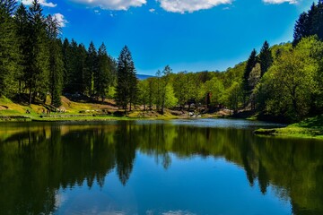 Fototapeta na wymiar mountain lake in the summer