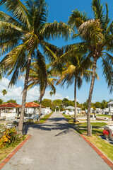 Fototapeta premium Key West Cemetery located in the historic district in Key West, Florida