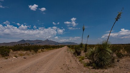 Southwest New Mexico's Cooke's peak Range.