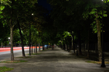Obraz premium Tree-lined avenue of Parma (Italy), illuminated at night