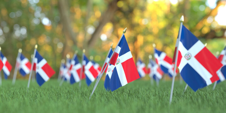 Flags of the Dominican Republic in the grass. National holiday related 3D rendering