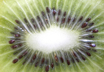 Cut cross section detail of green and white color sliced cut ripe Kiwi fruit