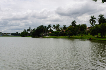 tropical landscape with palm trees - Lagoa da Pampulha em Belo Horizonte