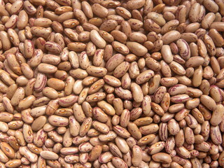 Red and white color raw whole speckled kidney beans