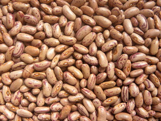 Red and white color raw whole speckled kidney beans