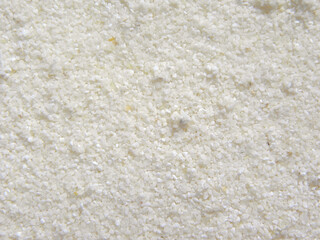 White color raw Semolina wheat middlings