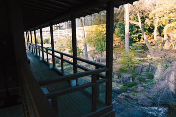 Fototapeta premium japanese garden in autumn
