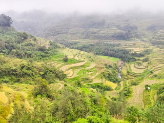 Obraz premium Rice terraces near Banaue town in the Philippines