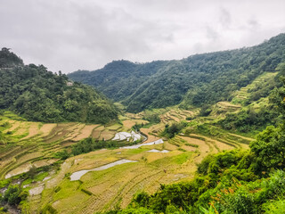 Rice terraces near Banaue town in the Philippines