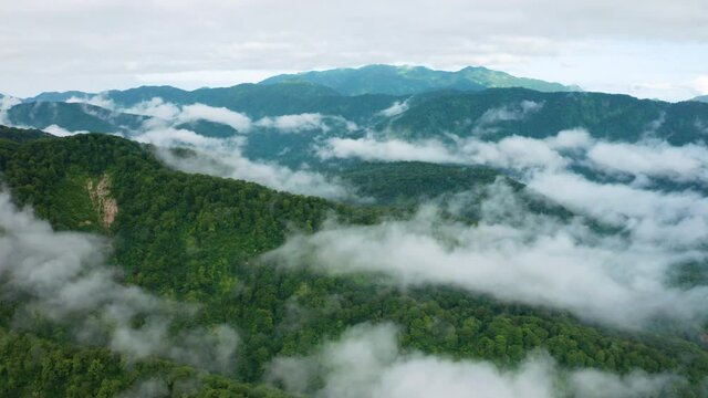 朝靄の白神山地空撮
