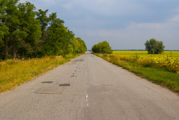 asphalt road among a green fields, rural landscape
