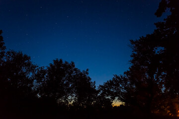 Fototapeta na wymiar forest silhouette on a night starry sky background, night outdoor camp scene