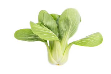 Fresh green bok choy or pac choi chinese cabbage isolated white background. Top view.