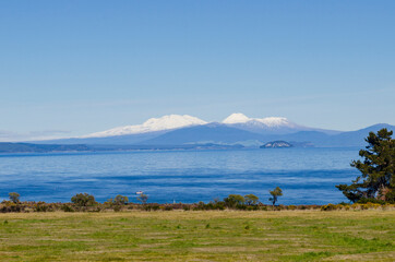 Fototapeta na wymiar New Zealand, North Island, Landscape
