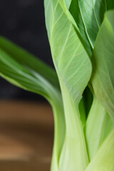 Fresh green bok choy or pac choi chinese cabbage. Side view, close up.