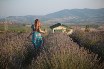 agriculture, aroma, aromatherapy, background, blooming, blossom, blue, countryside, field, flower, fragrance, freedom, happiness, herbal, lady, landscape, lavandula, lifestyle, meadow, nature, outdoor