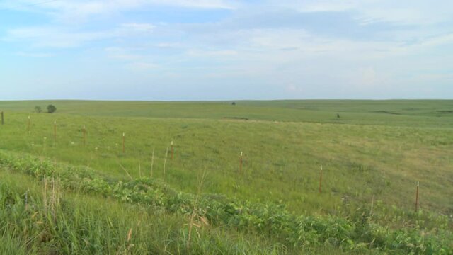 Vast green prairie field and sky in Kansas.