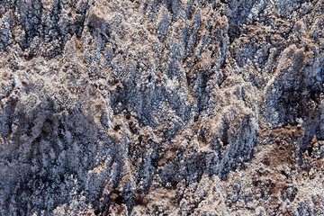 Soil salinity and cracks background texture