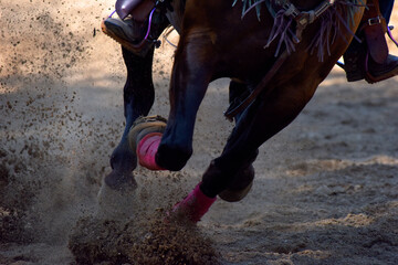 Horse at Full Gallop Kicking Up Dirt