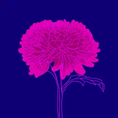 Foto op Canvas beautiful blooming flower. minimal style. vector illustration © Natalia Flurno Lúna