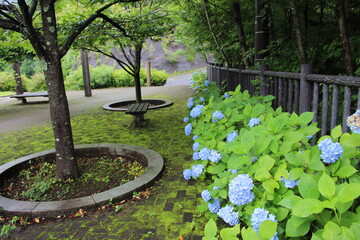 green waterfall landscape misty mountains Shima, Gunma, Japan