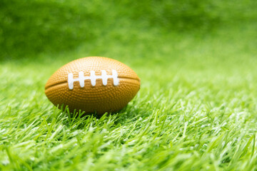 Football is on green grass for American Soccer on green grass