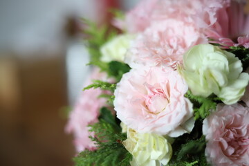 花
Flower
鮮やか
ピンク
生物
