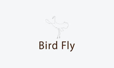 Bird Fly