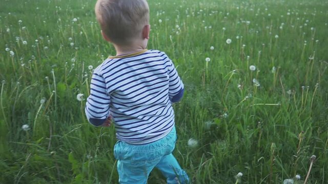 Funny child running in blossom field, dandelions field flying away. First steps