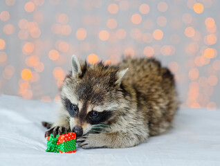 Funny cute raccoon holding a Christmas present in its paws. Greeting card for christmas concept