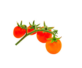 Fresh cherry tomatoes isolated on white background with selective focus