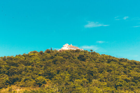 lonely tree in the mountains