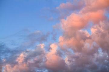Naklejka na ściany i meble Pink clouds in blue sky