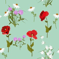 Seamless pattern with field chamomile, campanula,clover and poppies on a green background.
