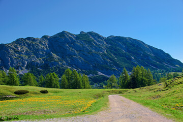 road in mountains, Tauplitzalm Styria