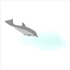 Dolphin Illustration