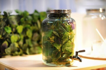 glass jar beverage dispenser with tap