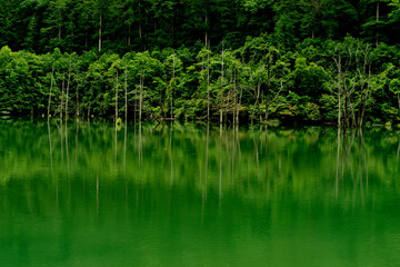 自然湖