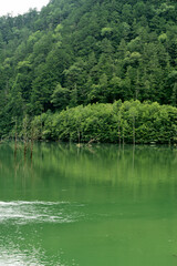 Fototapeta na wymiar 自然湖