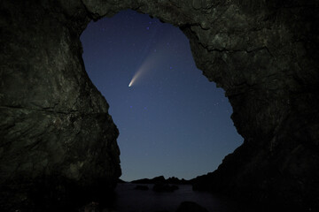 ネオワイズ彗星（NEOWISE彗星）