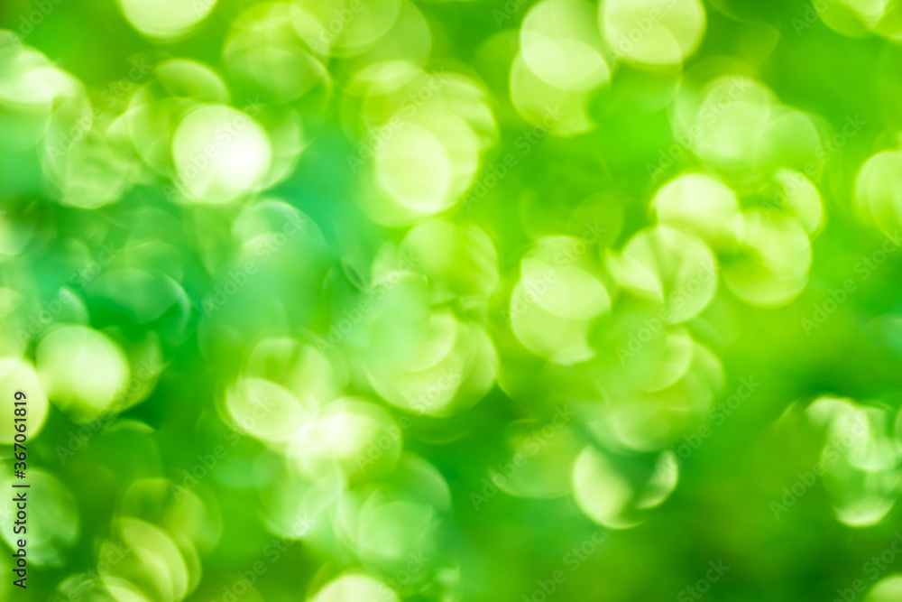 Poster green background abstract light gradient bokeh natural used for text input
