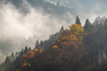 朝靄が発生している谷と紅葉