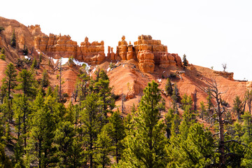 Rock spires in Red Canyon, Utah