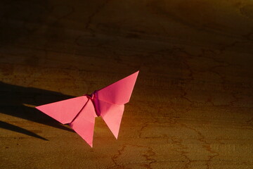 butterfly origami on wooden background for cover and copy space with sunset light effect and shadow